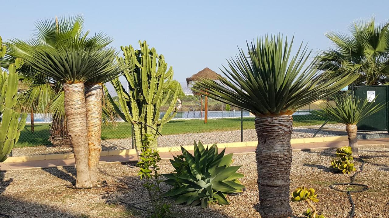 Apartments Sol De Almeria Golf Y Playa Retamar  Εξωτερικό φωτογραφία
